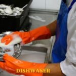 Dishwasher Jobs in Canada